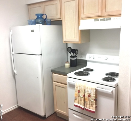 7560 Windsor Oaks, San Antonio, TX 78239