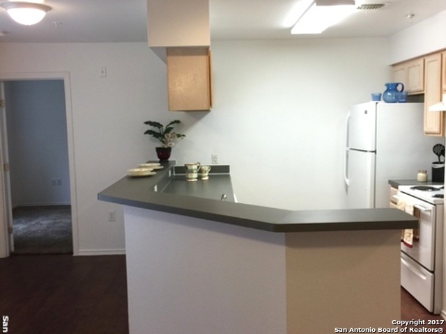 7560 Windsor Oaks, San Antonio, TX 78239