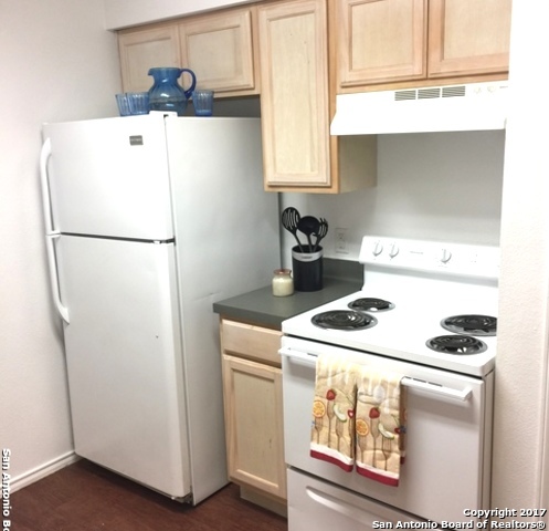 7560 Windsor Oaks, San Antonio, TX 78239