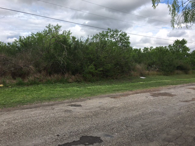 n-a CR 321, Orange Grove, TX 78372