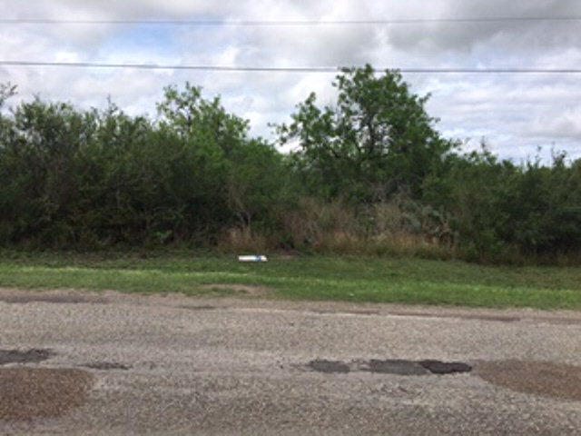 n-a CR 321, Orange Grove, TX 78372