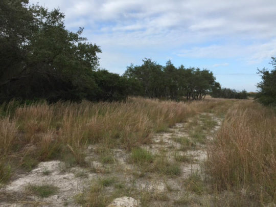 8 Old Cottage Beach Dr