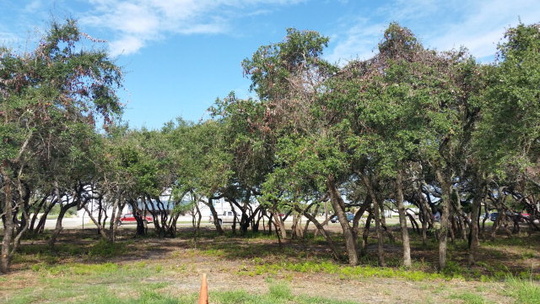 4 Sea Shell Shores