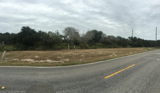 4 Sea Shell Shores