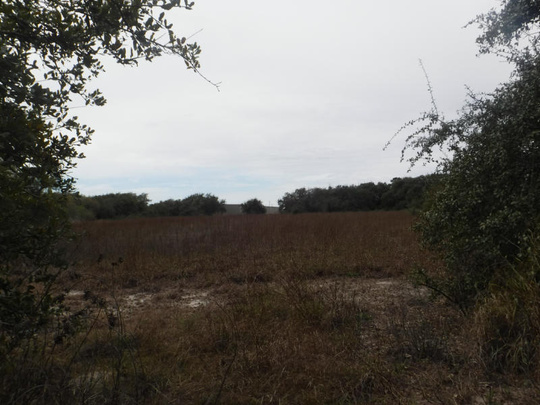 121 Bufflehead Ln