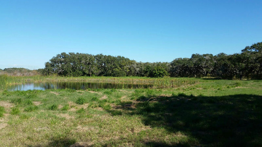 1323 Water St Lot # 6