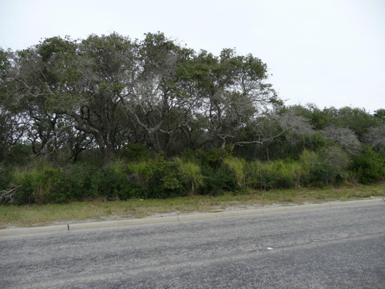 743 Copano Cove Rd Lot2224
