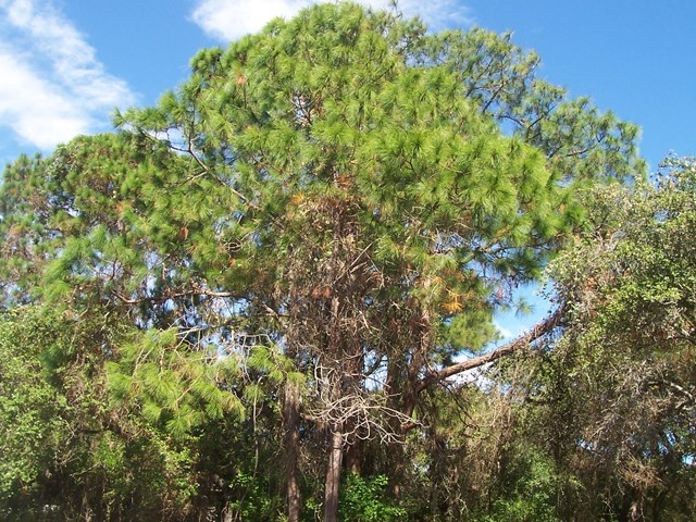 35 Charlotte Ave, Rockport, TX 78382
