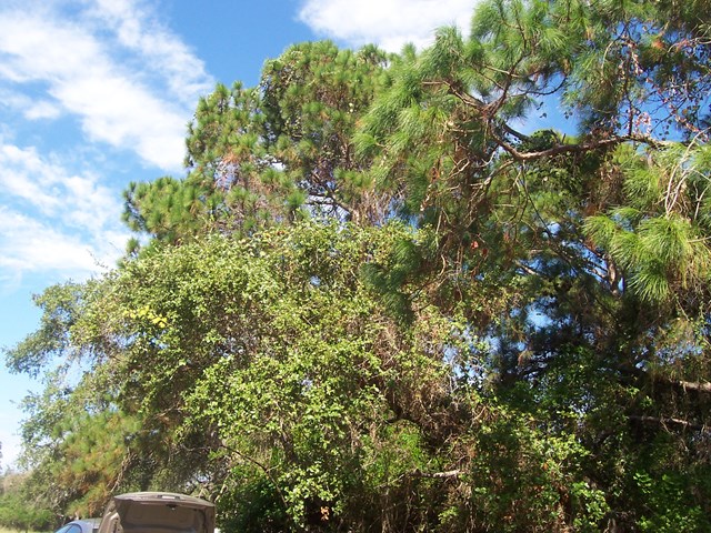 35 Charlotte Ave, Rockport, TX 78382