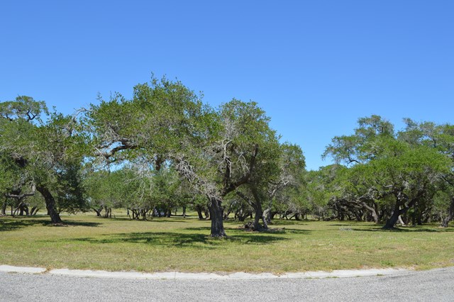 00 Lamar Pointe Preserve, Rockport, TX 78382
