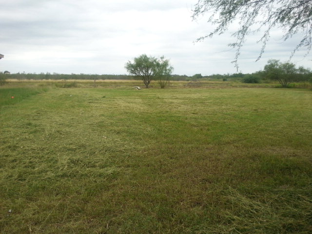 lot 24 ESPINOSA LN, Brownsville, TX 78526