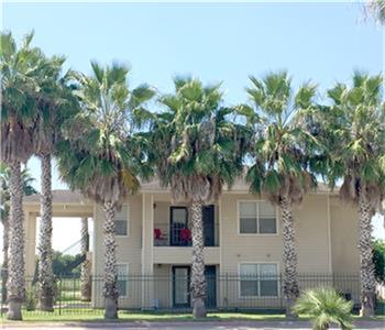 202 W South Avenue, Donna, TX 78537