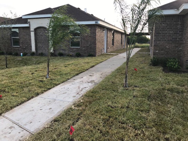 523 Lotto Lane, Edinburg, TX 78541