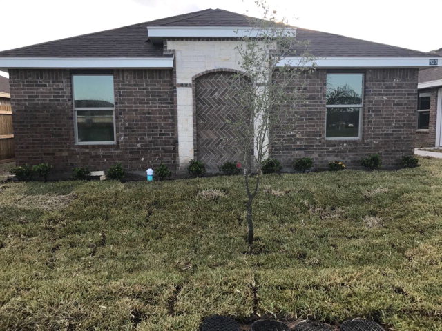 523 Lotto Lane, Edinburg, TX 78541