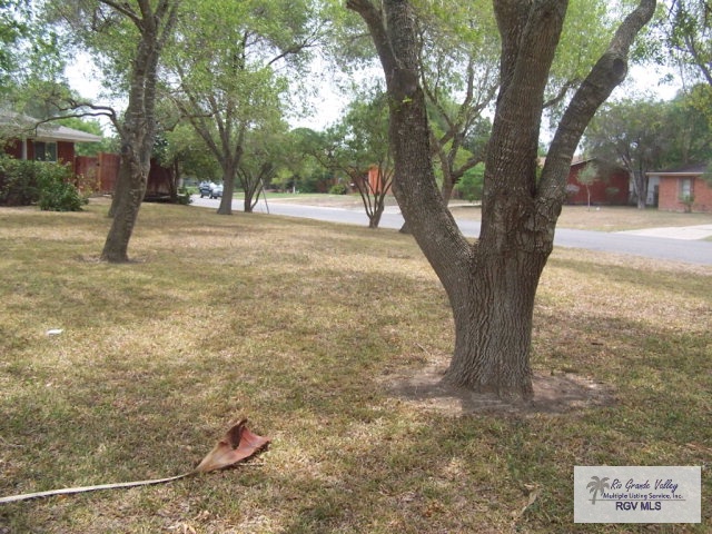 2202S. 25th Street, Harlingen, TX 78550