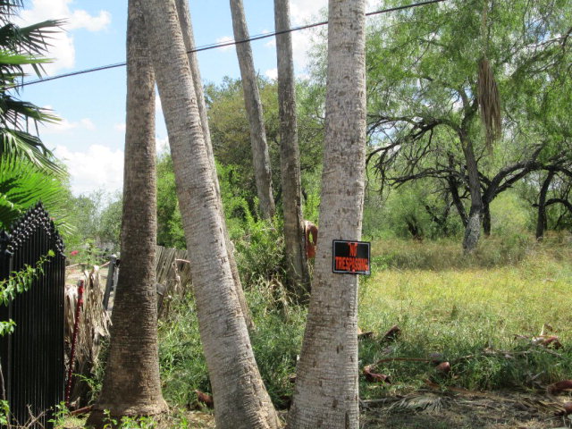 978 S Kika De La Garza, La Joya, TX 78560