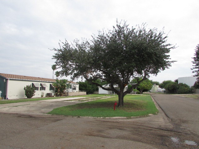 1800 Jefferson Street, Mission, TX 78572