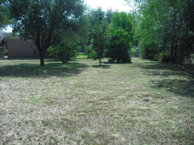 1408 G Gonzalez Circle, Penitas, TX 78576