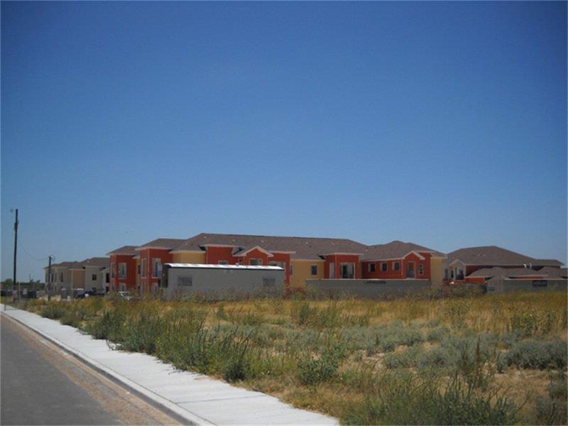 315 Butterfly Garden Drive, Rio Grande City, TX 78582