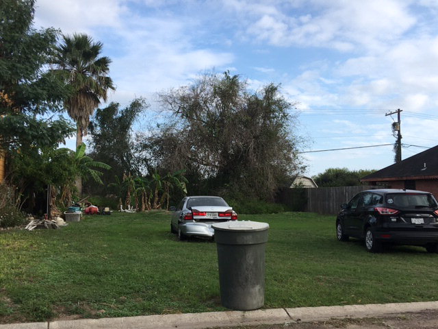 1607 Star Ruby Drive, San Juan, TX 78589