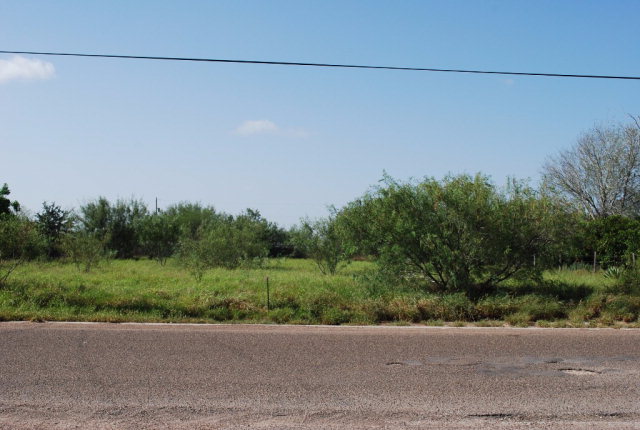 00 Amarillo Street, Sullivan City, TX 78595
