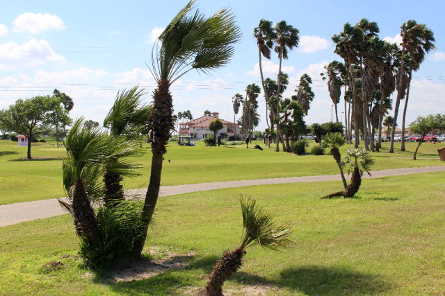 4214 Vida Grande, Weslaco, TX 78596
