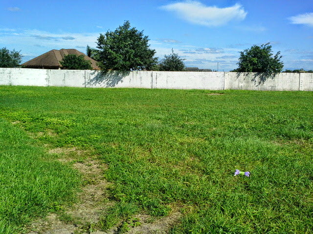 512 Santa Elena, Weslaco, TX 78596