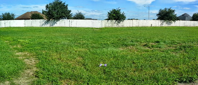 512 Santa Elena, Weslaco, TX 78596