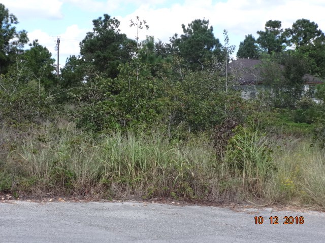 195 Lamaloa LN, Bastrop, TX 78602