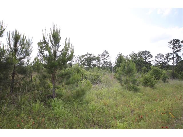 433 Pine Tree LOOP, Bastrop, TX 78602