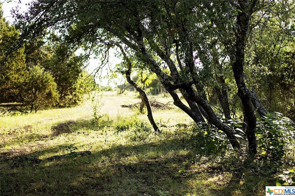 5800 County Road 254, Bertram, TX 78605