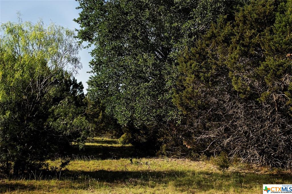 5800 County Road 254, Bertram, TX 78605