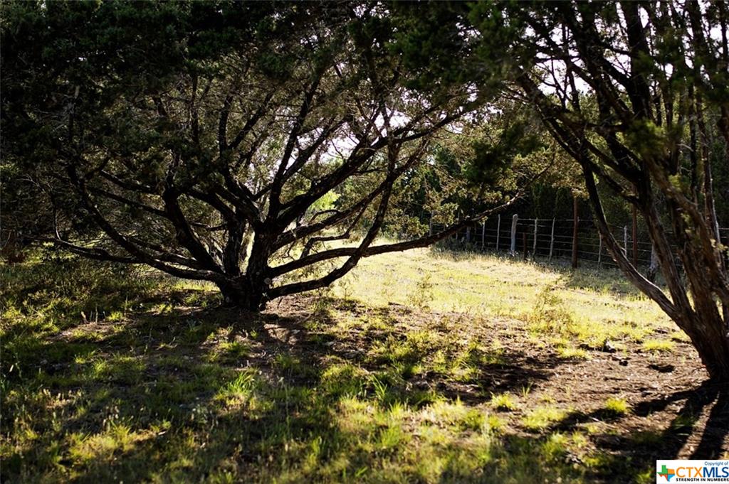 5800 County Road 254, Bertram, TX 78605