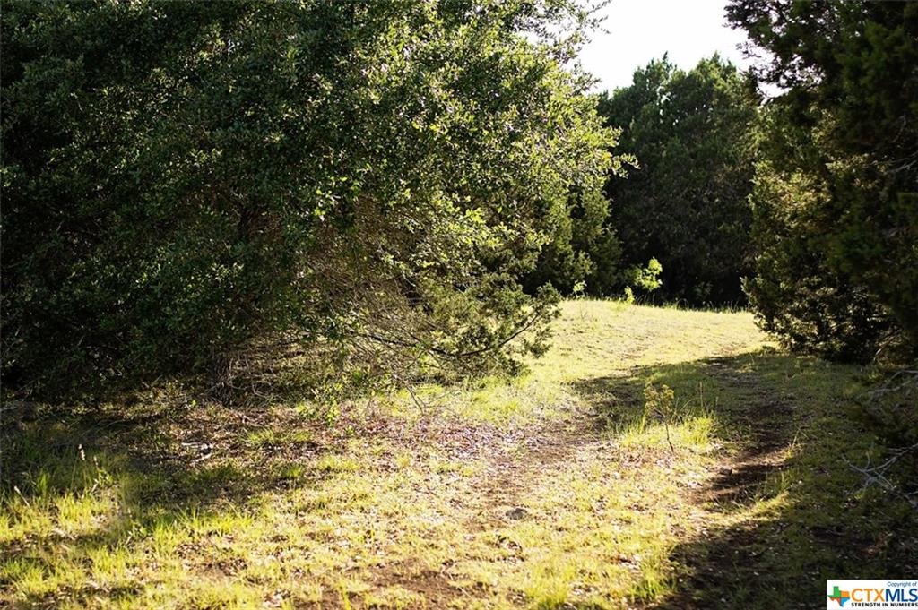 5800 County Road 254, Bertram, TX 78605