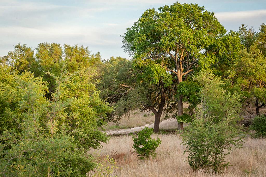 Lot 32 Three Creeks, Bertram, TX 78605