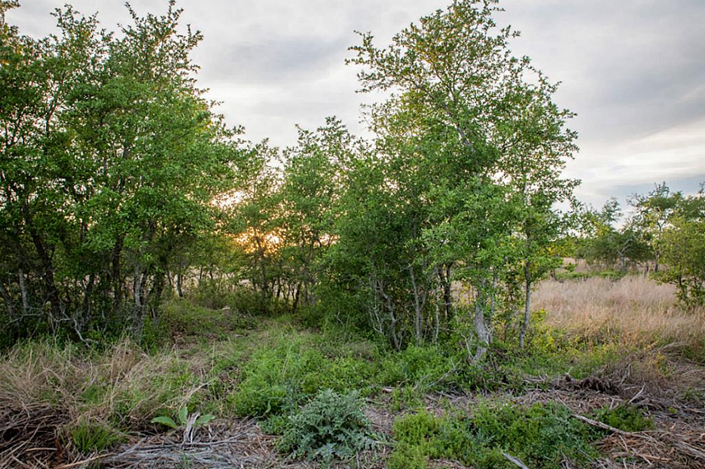 Lot 32 Three Creeks, Bertram, TX 78605