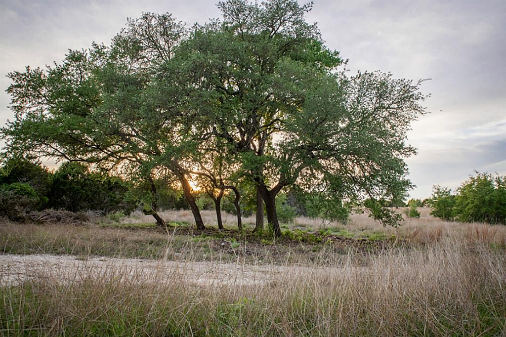 Lot 32 Three Creeks, Bertram, TX 78605