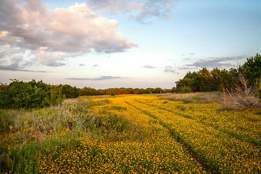 Lot 31 Three Creeks, Bertram, TX 78605