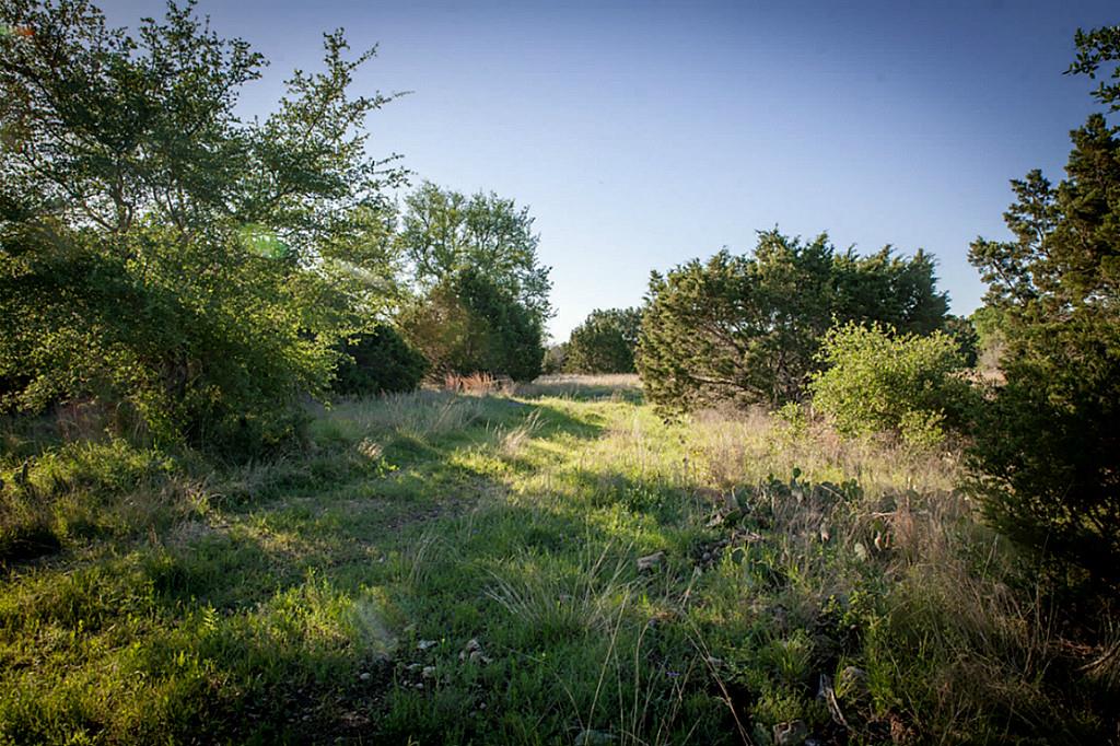 Lot 31 Three Creeks, Bertram, TX 78605
