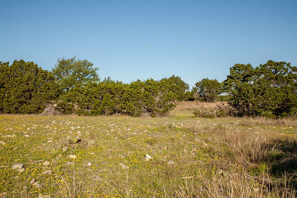 Lot 31 Three Creeks, Bertram, TX 78605