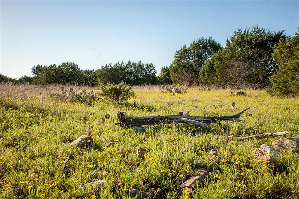 Lot 31 Three Creeks, Bertram, TX 78605