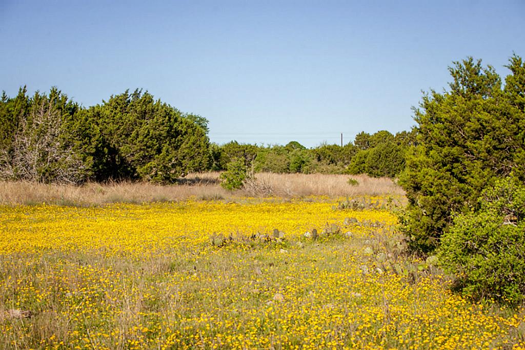 Lot 31 Three Creeks, Bertram, TX 78605