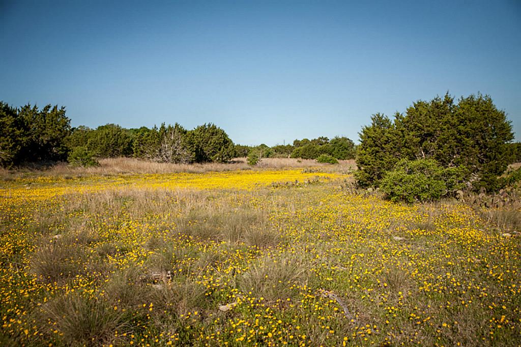 Lot 31 Three Creeks, Bertram, TX 78605
