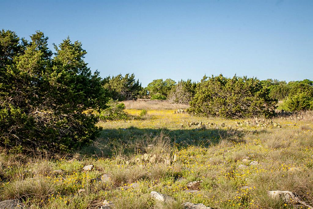 Lot 31 Three Creeks, Bertram, TX 78605