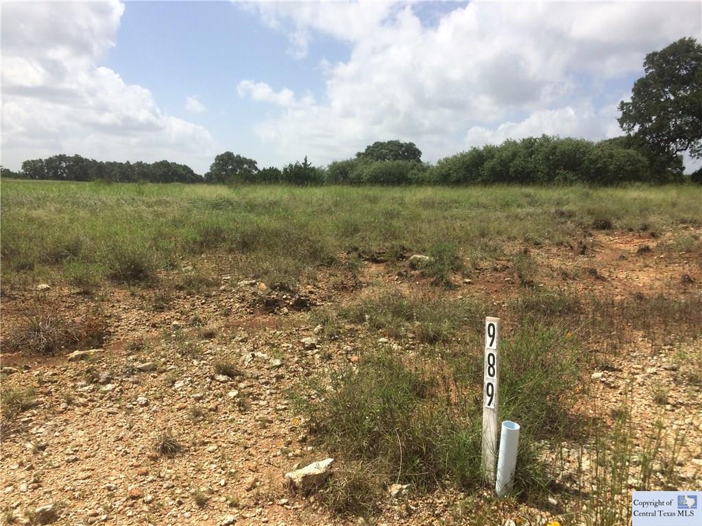 Lot 989 Hiram Cook, Blanco, TX 78606
