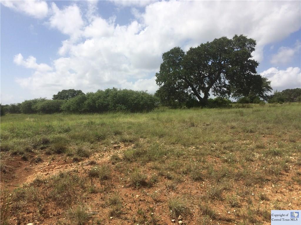 Lot 989 Hiram Cook, Blanco, TX 78606