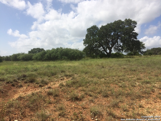 LOT 989 Hiram Cook, Blanco, TX 78606