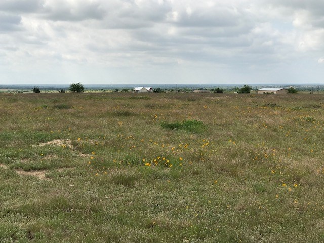 8 County Rd 212, Briggs, TX 78608