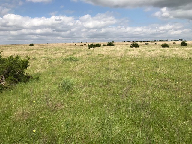 8 County Rd 212, Briggs, TX 78608