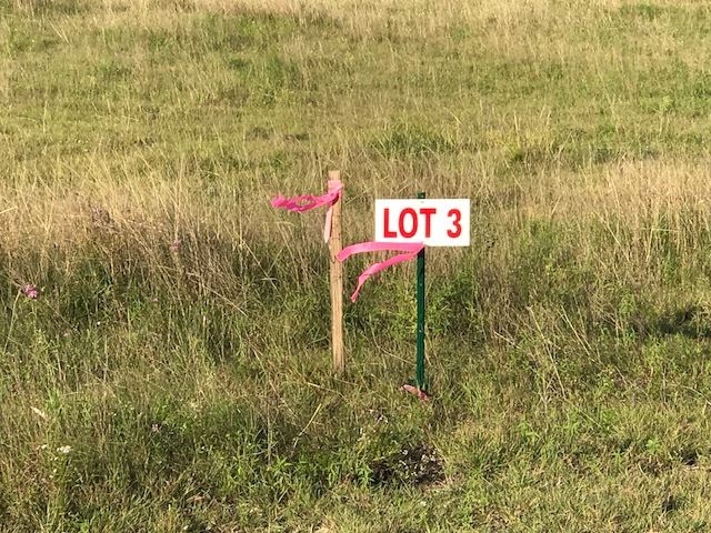 Lot 3 CR 212, Briggs, TX 78608